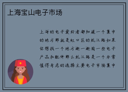 上海宝山电子市场